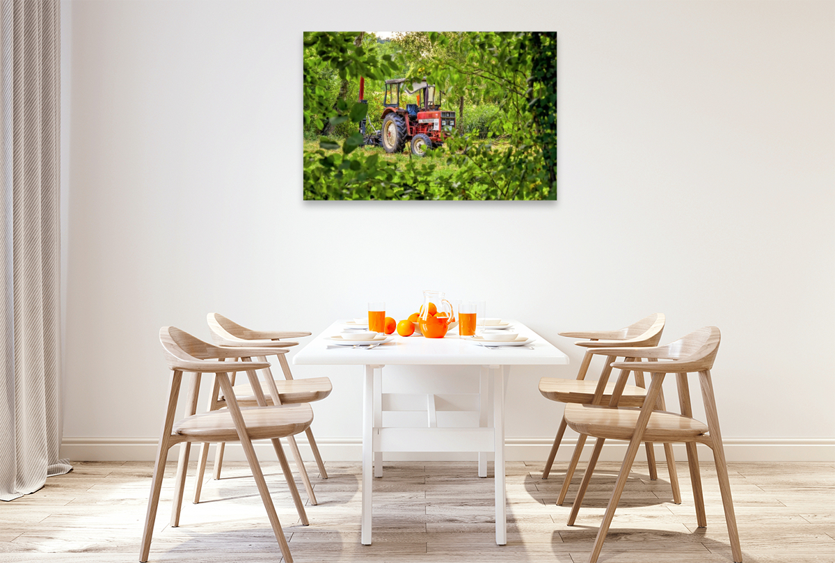 Verlassener alter roter Traktor am Feldrand schaut durch grünes Blattwerk