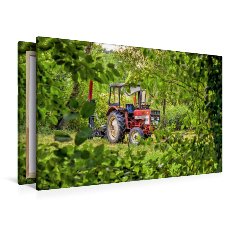 Verlassener alter roter Traktor am Feldrand schaut durch grünes Blattwerk