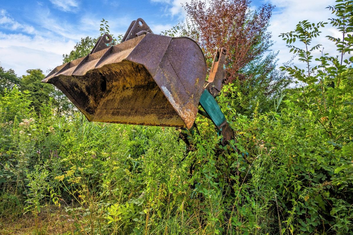 Schaufel eines alten Radladers ragt aus Büschen hervor