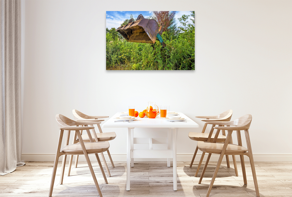 Schaufel eines alten Radladers ragt aus Büschen hervor