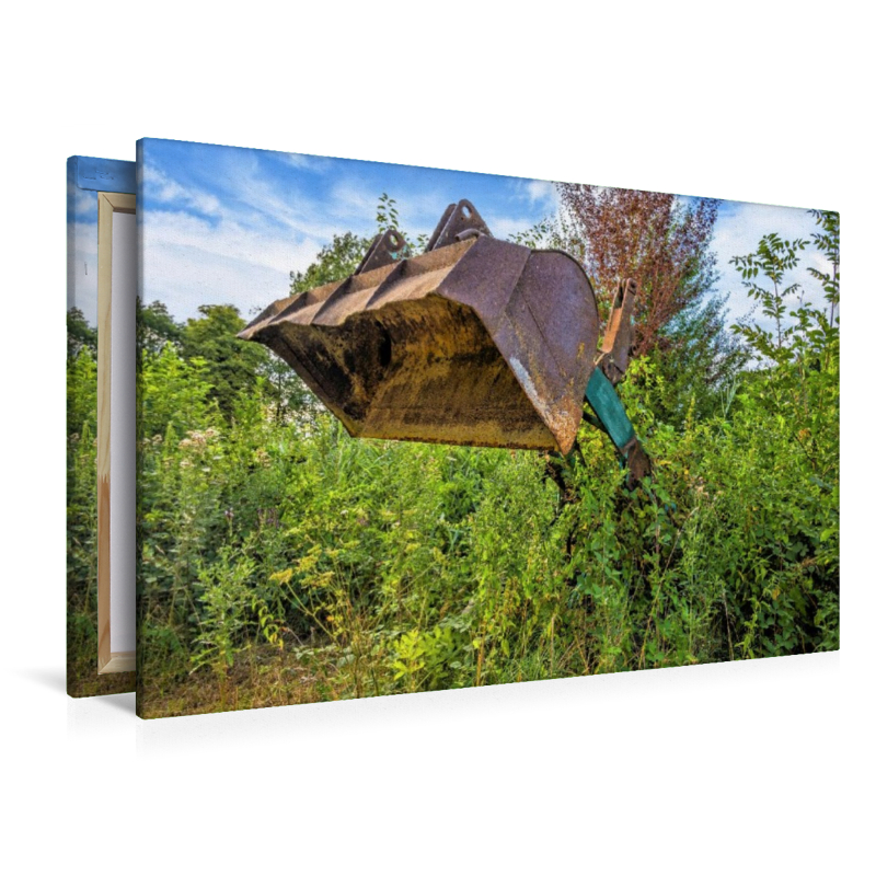 Schaufel eines alten Radladers ragt aus Büschen hervor