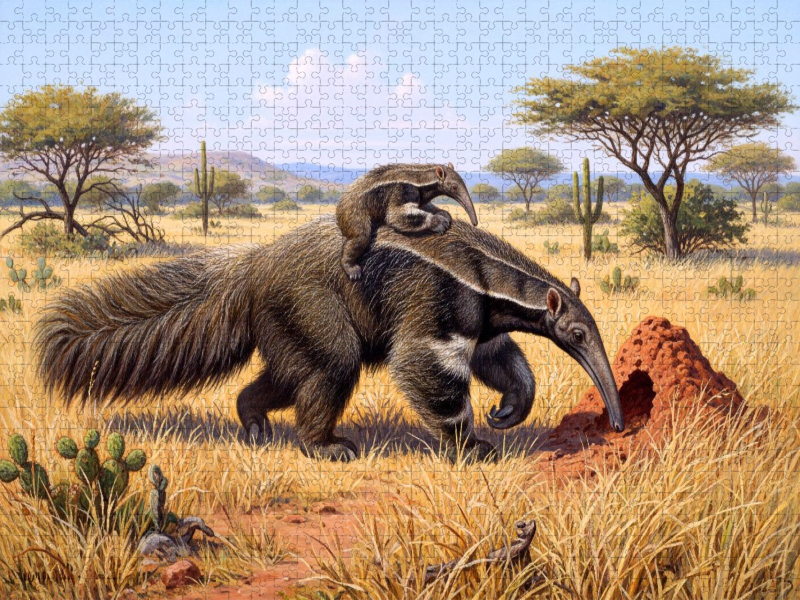 Ameisenbär mit Jungtier