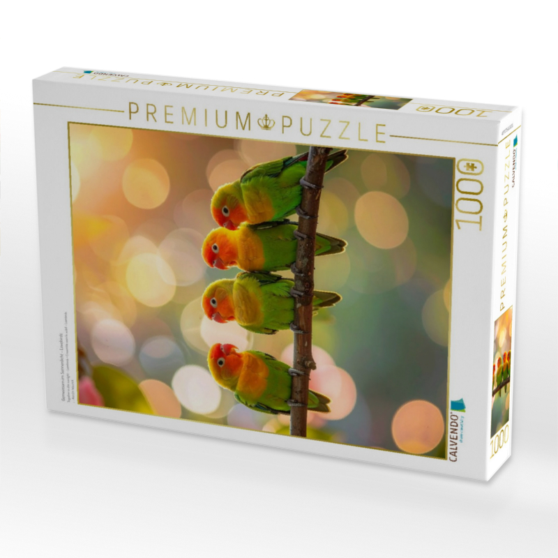 Gemeinsam im Sonnenlicht - Lovebirds