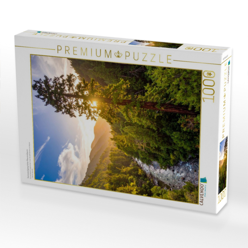 Sonnenaufgang hinter Mammutbaum