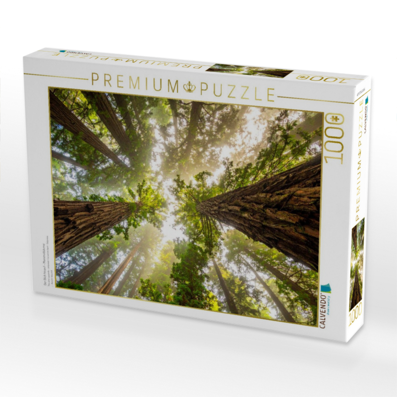 Der Blick hinauf - Mammutbäume