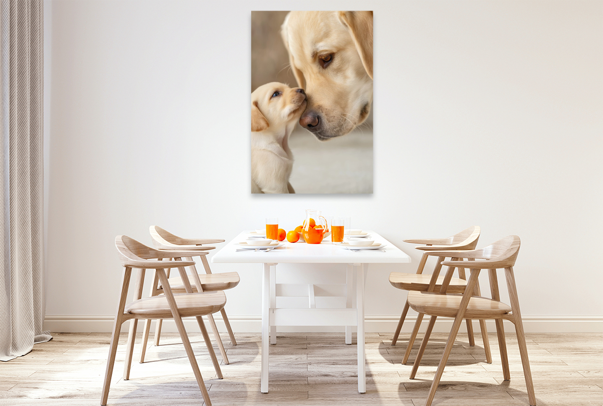 In diesen Augen steckt pures Vertrauen