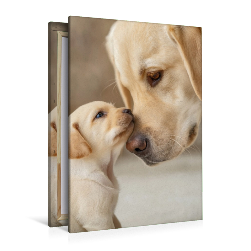 In diesen Augen steckt pures Vertrauen