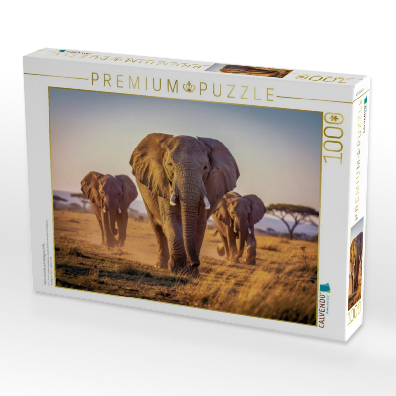 Wenn Instinkt auf Intelligenz trifft.