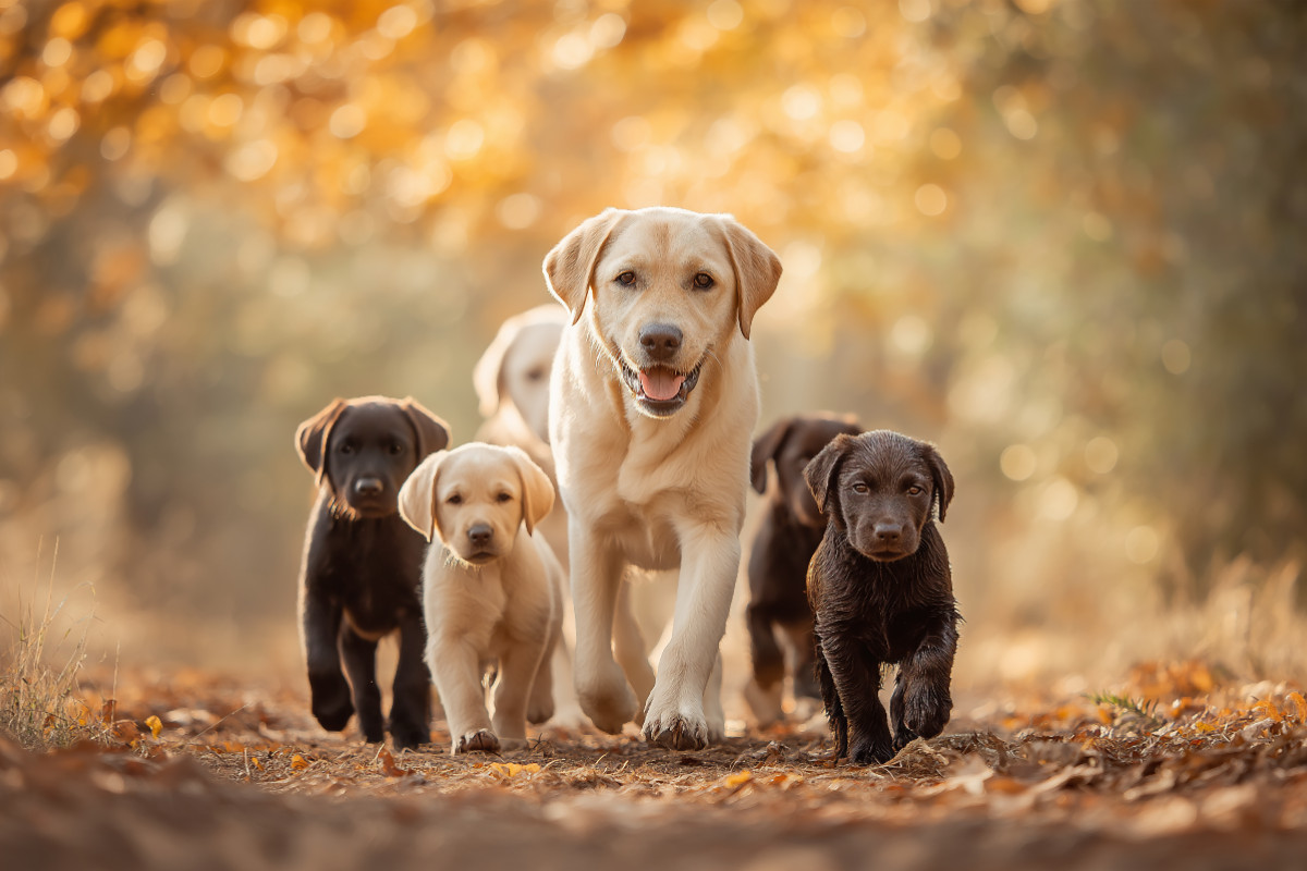 Voller Energie, voller Liebe, voller Leben