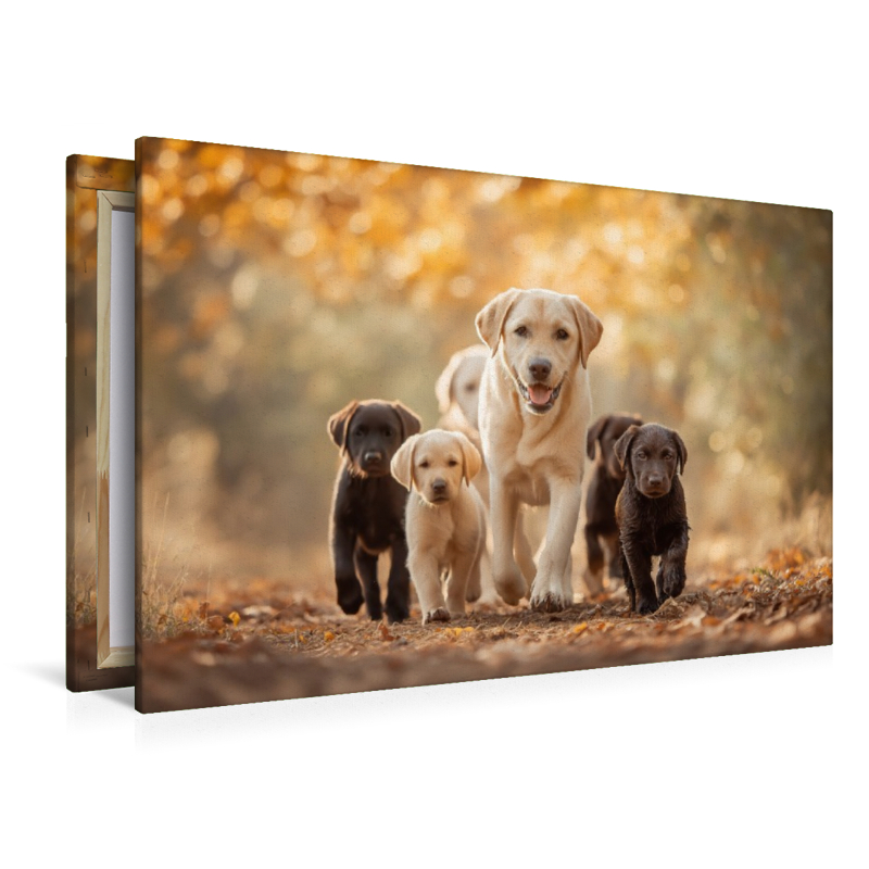 Voller Energie, voller Liebe, voller Leben