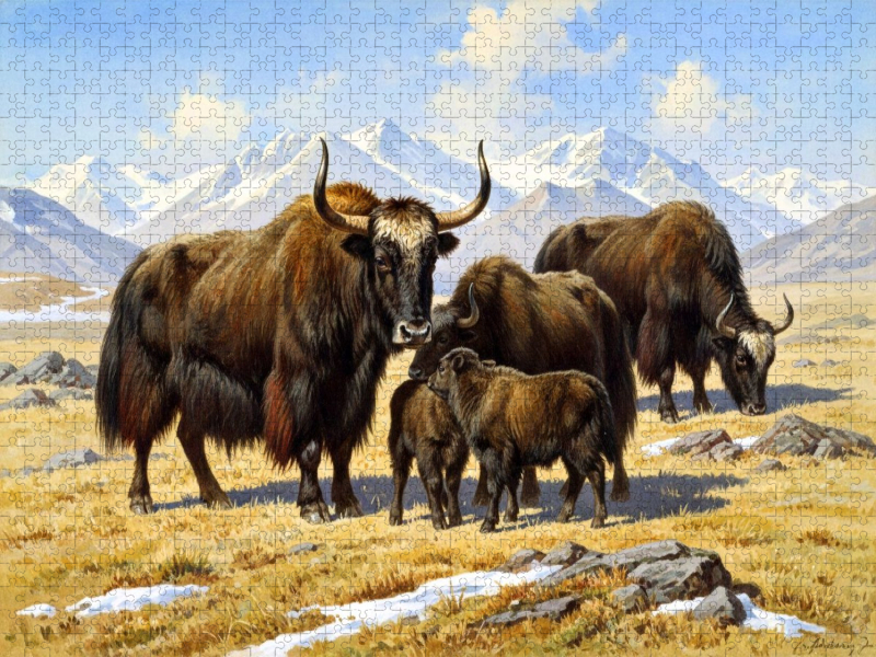 Yak - Herde im Himalaya - im Stil alter Gemälde