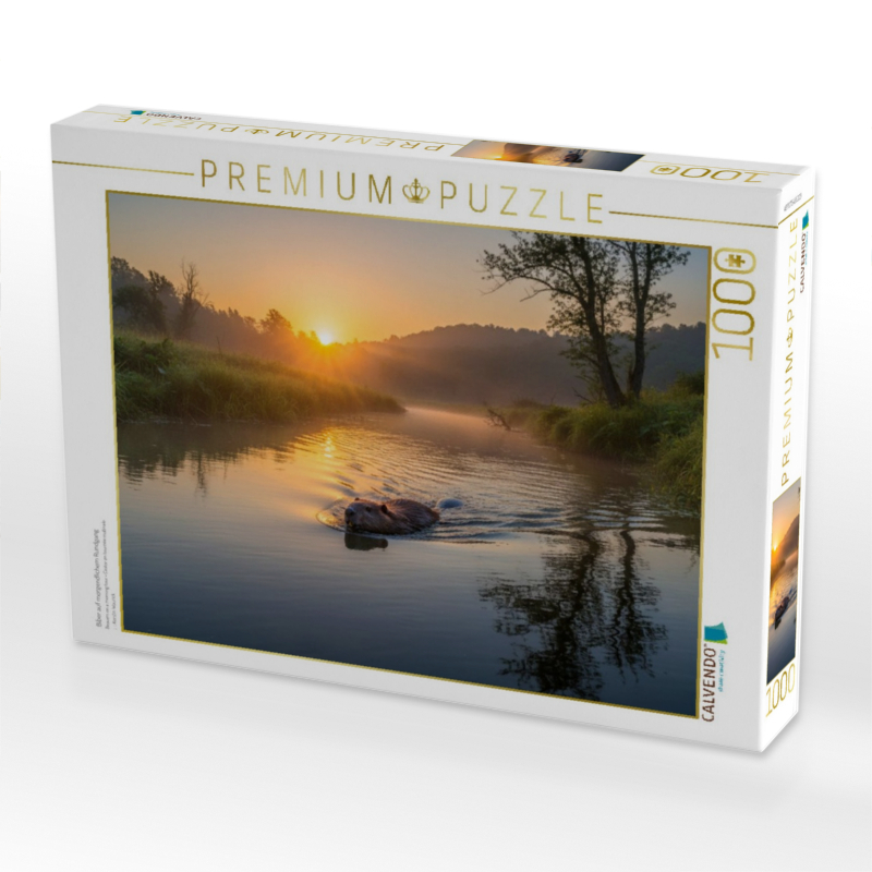 Biber auf morgendlichem Rundgang