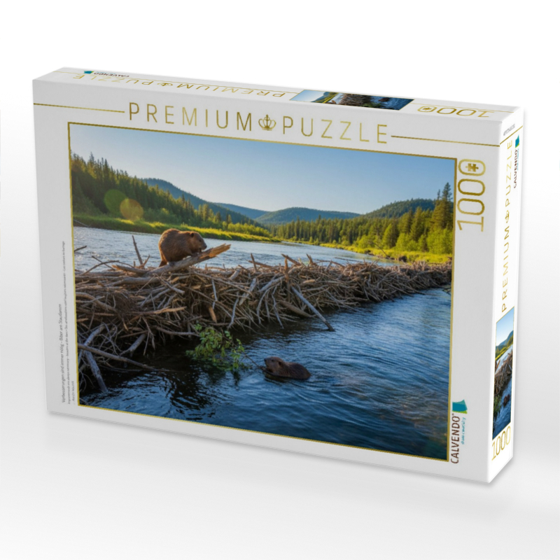 Verbesserungen sind immer nötig - Biber am Staudamm