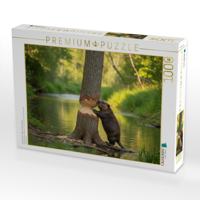 Fast geschafft - Biber mit Baumstamm