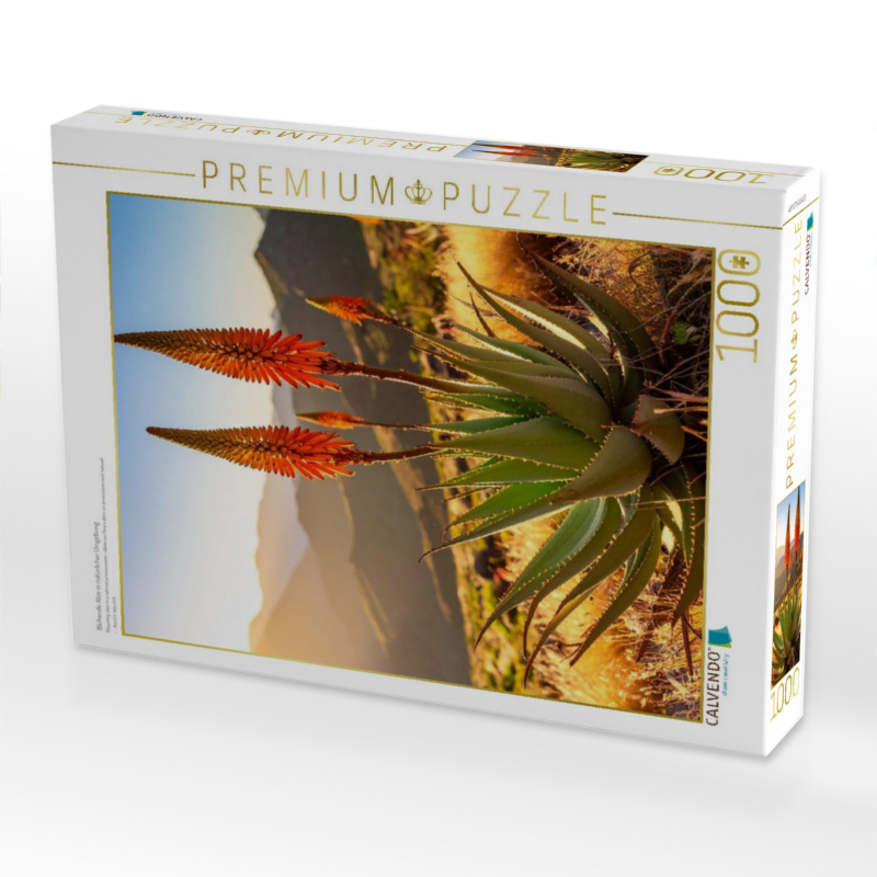 Blühende Aloe in natürlicher Umgebung