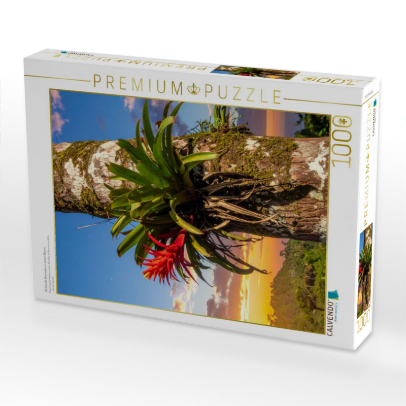 Blühende Bromelie an einem Baum