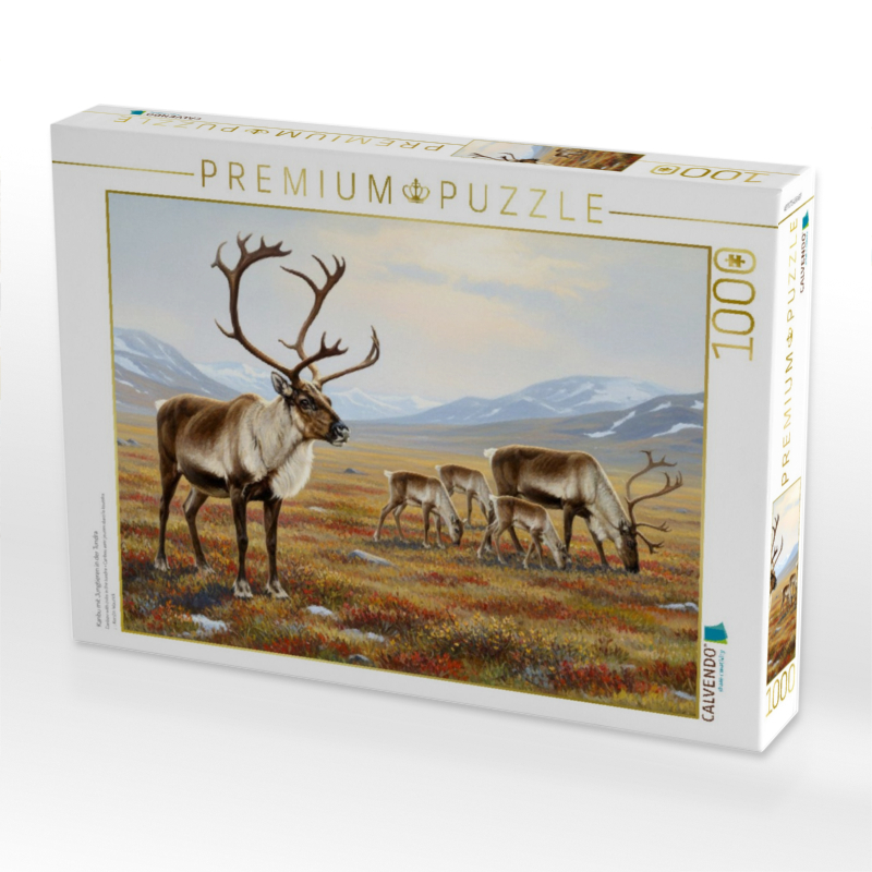 Karibu mit Jungtieren in der Tundra