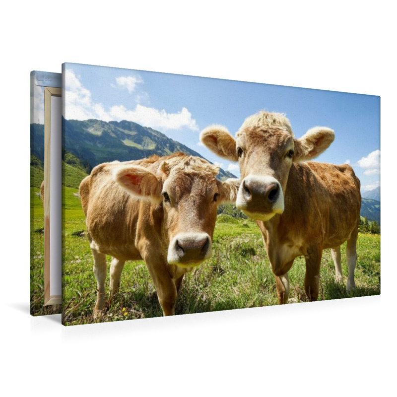 Ein Foto fürs Familienalbum