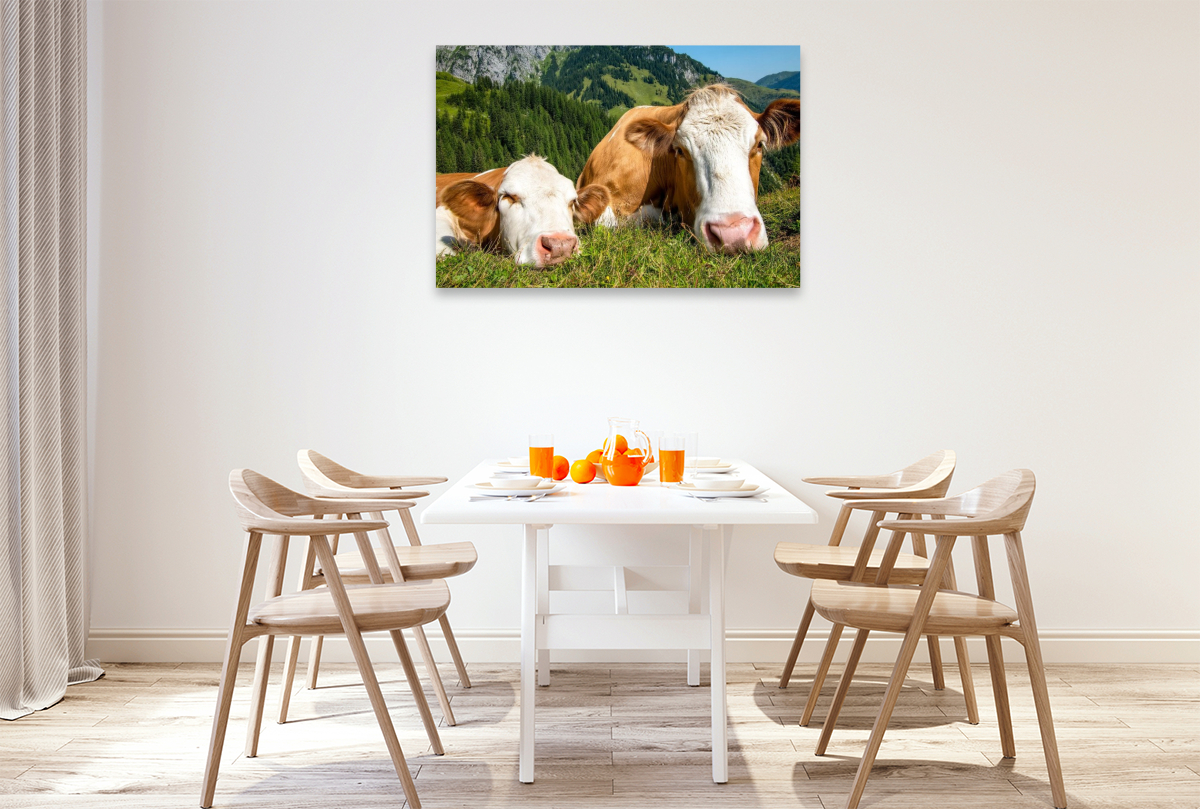 So haben sie es gern