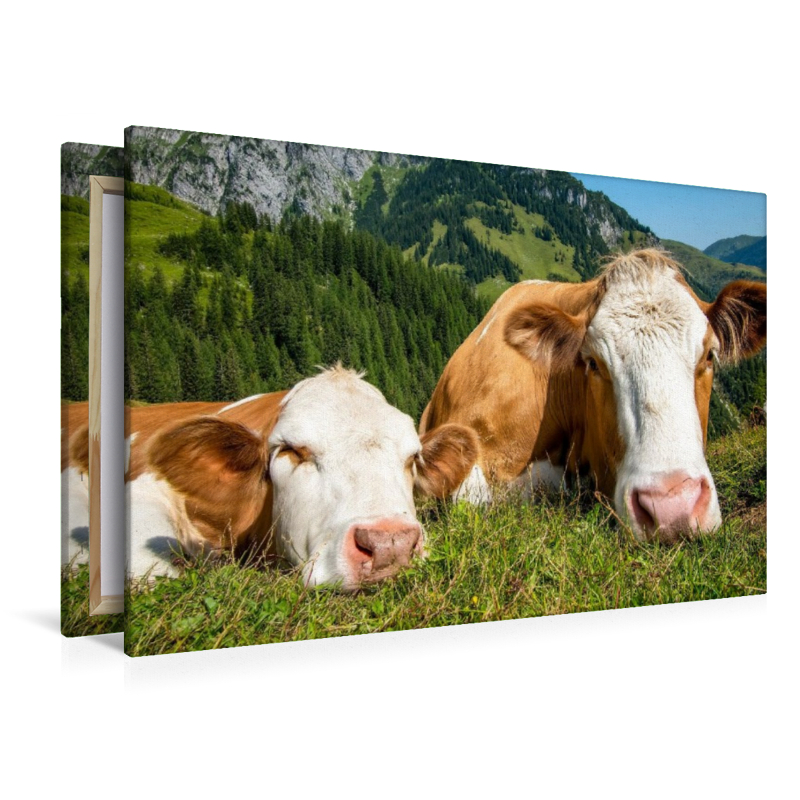 So haben sie es gern