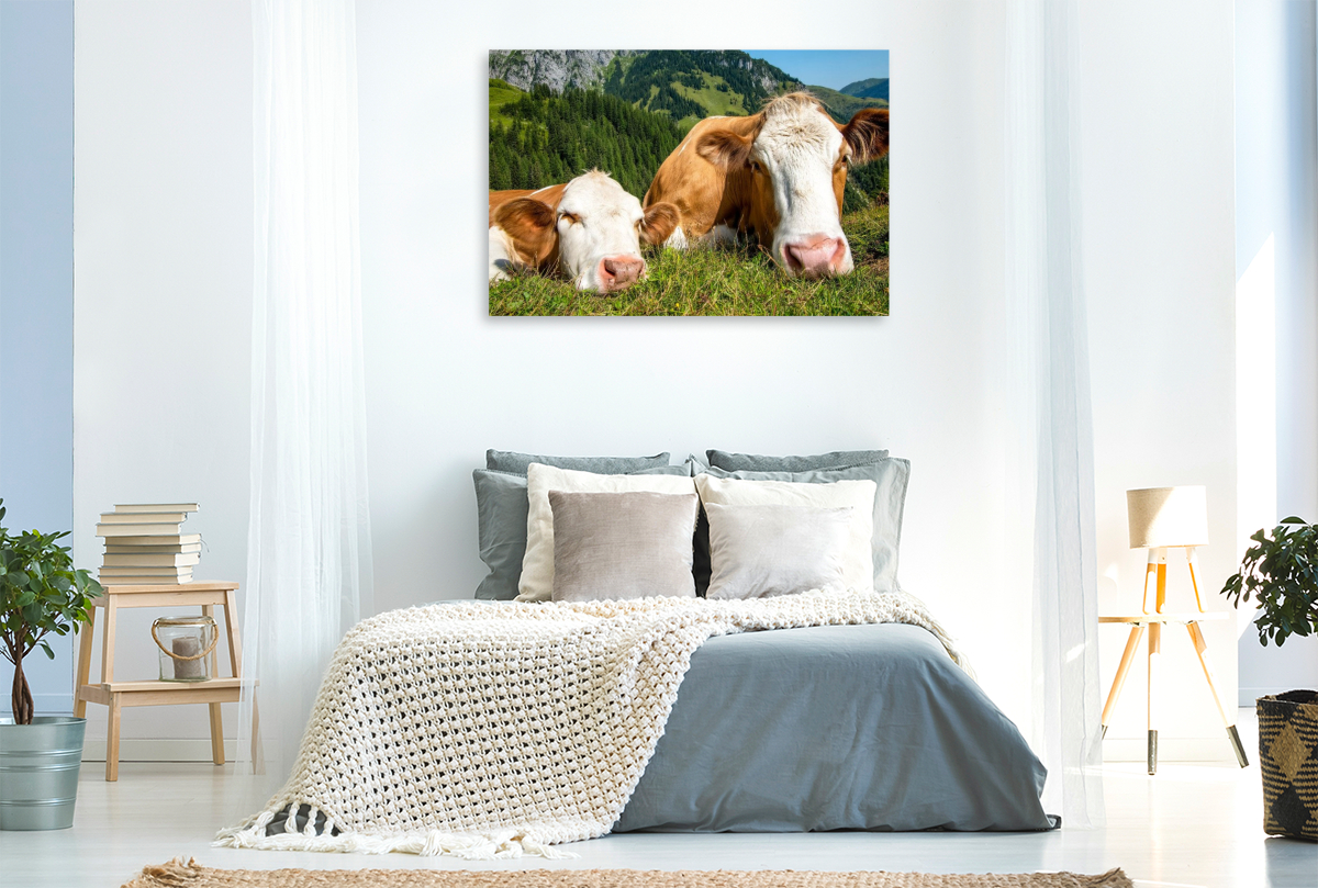 So haben sie es gern