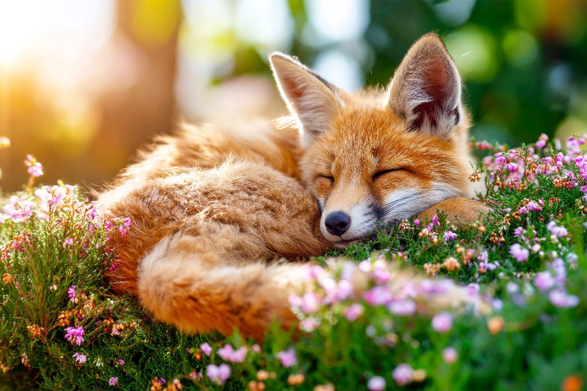 Hier lässt es sich gut ausruhen