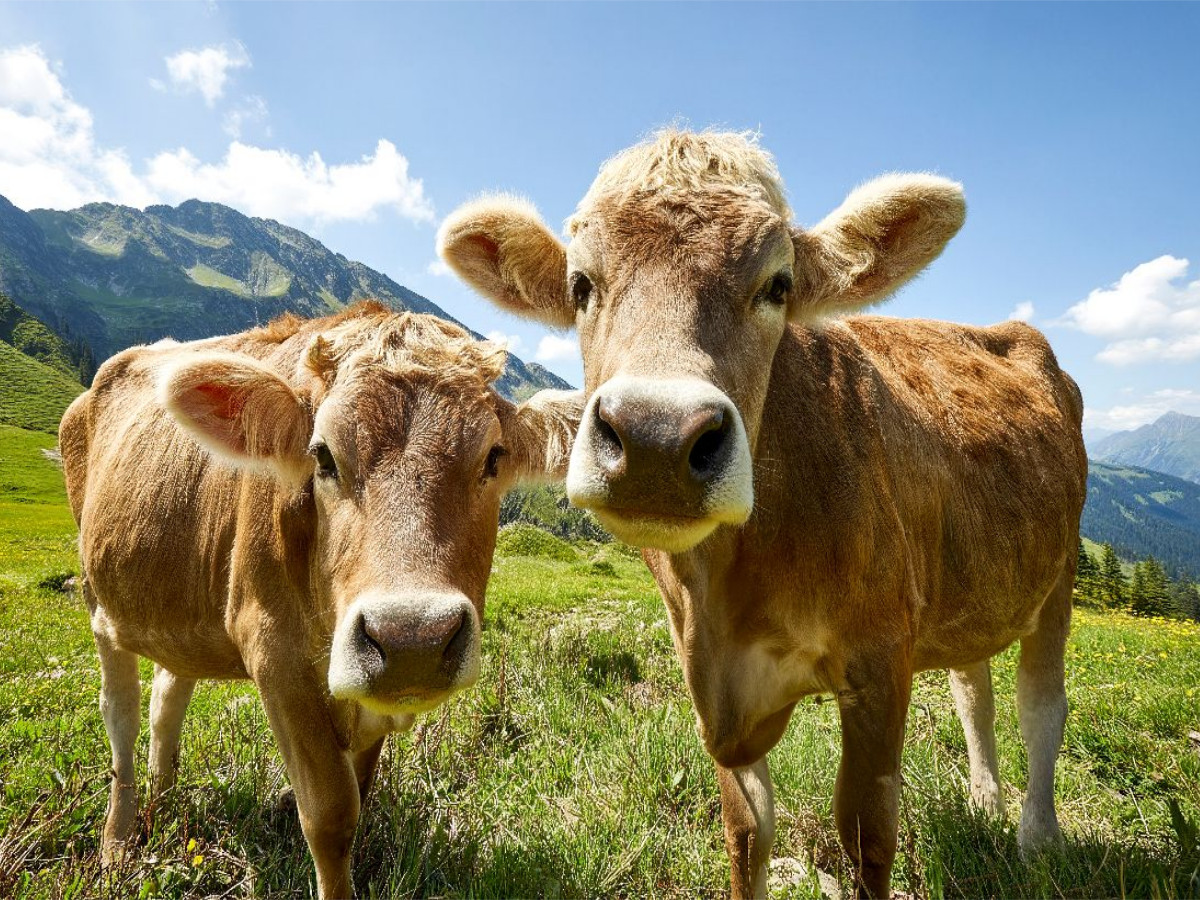 Ein Foto fürs Familienalbum