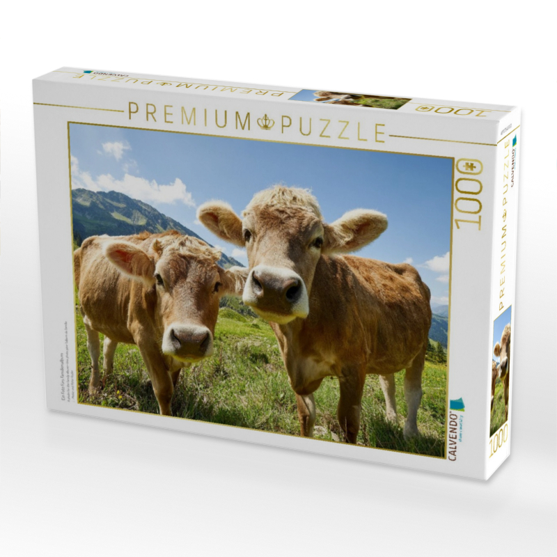 Ein Foto fürs Familienalbum