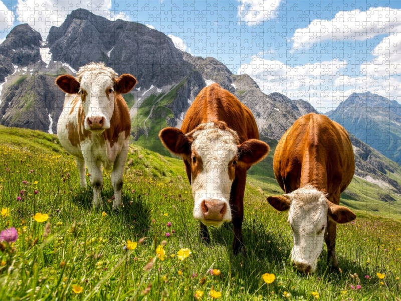 Hier schmeckt es wirklich saftig