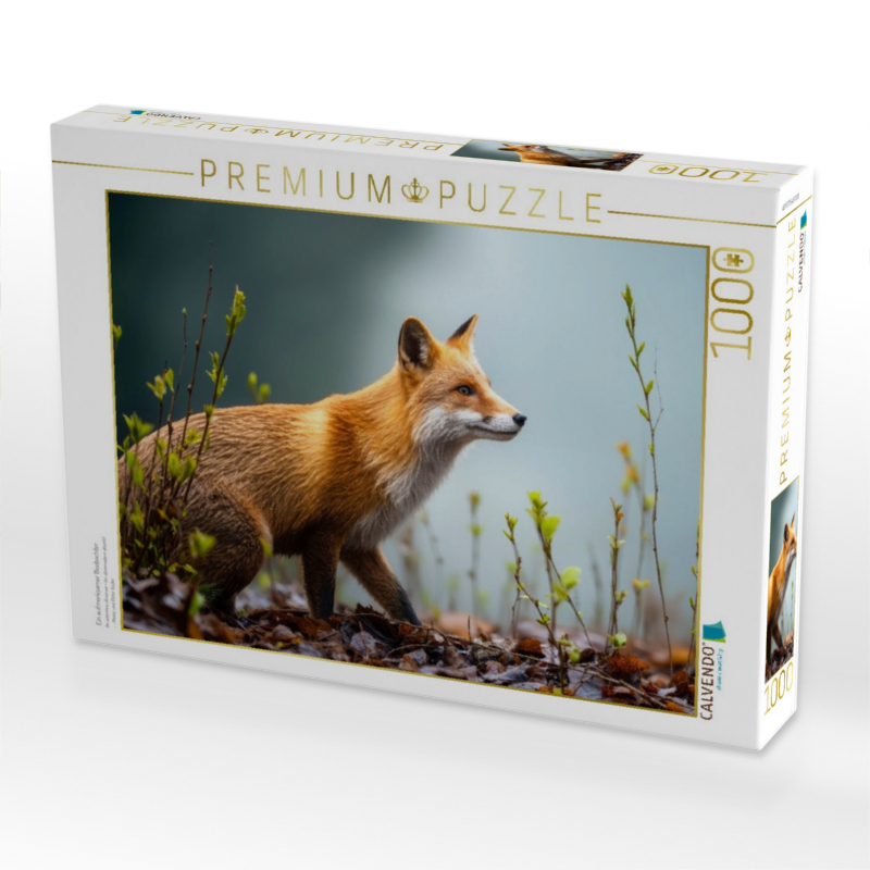 Ein aufmerksamer Beobachter