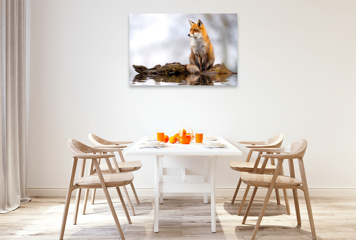 Ein berührender Anblick - magisch und wunderschön