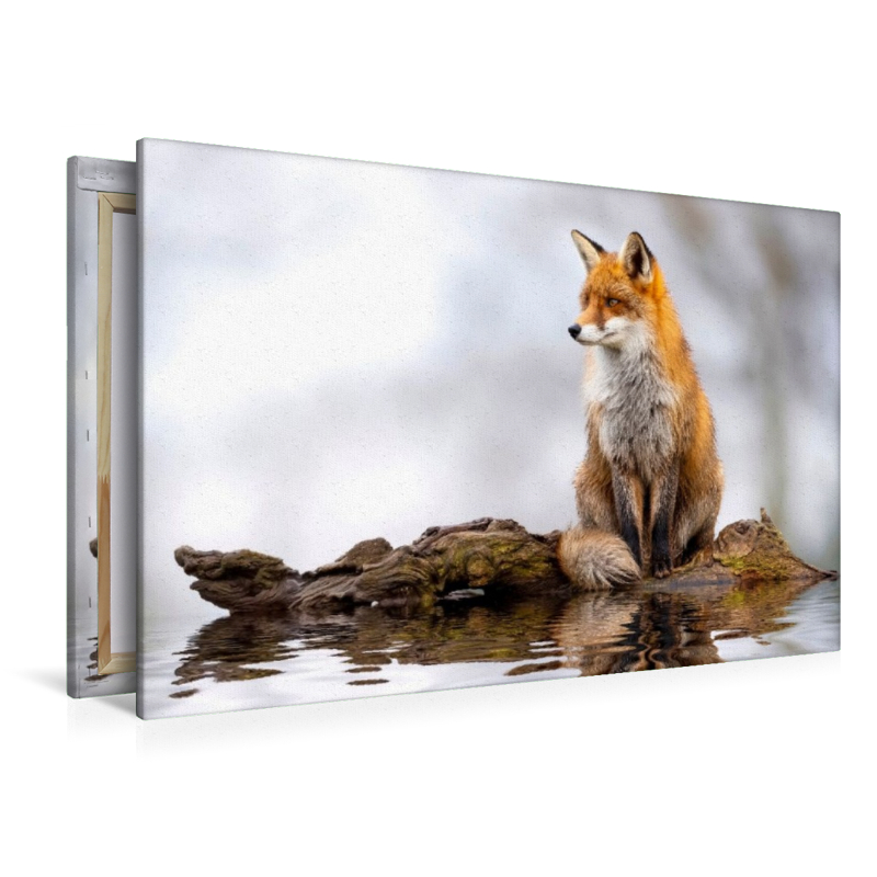 Ein berührender Anblick - magisch und wunderschön