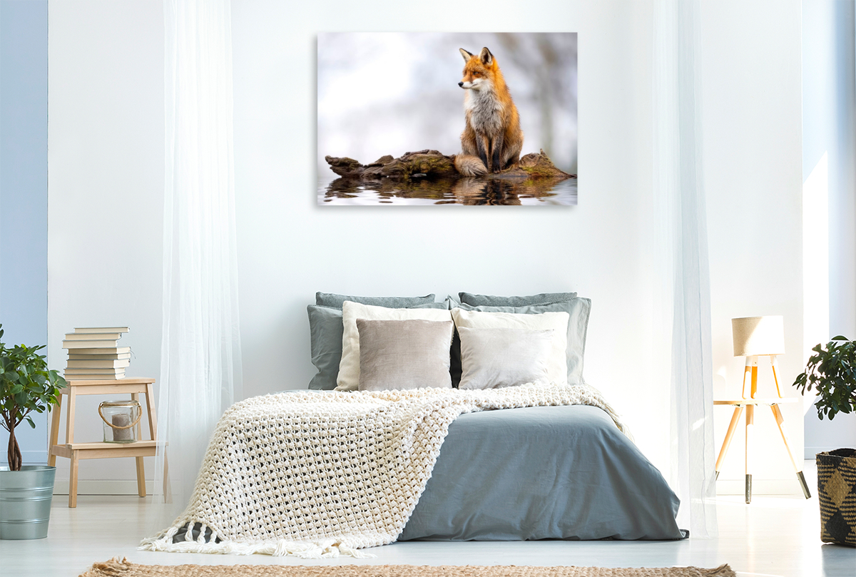 Ein berührender Anblick - magisch und wunderschön