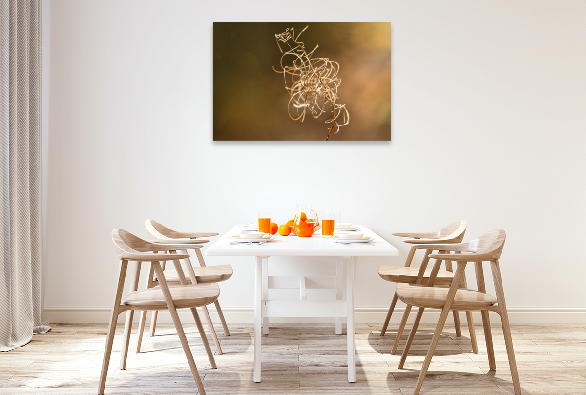 Verblühtes Weidenröschen