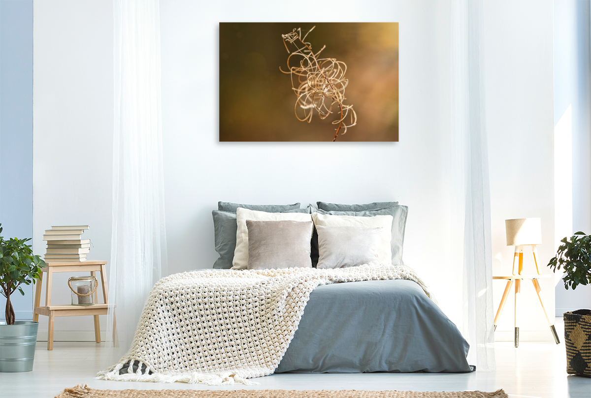 Verblühtes Weidenröschen