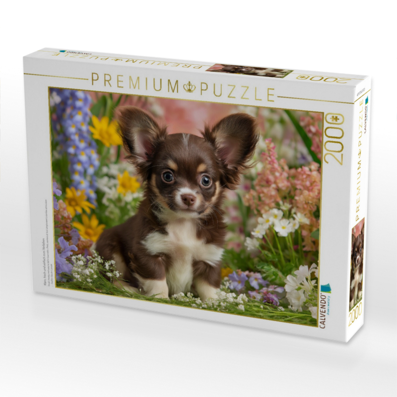 Klein, frech und einfach zum Verlieben