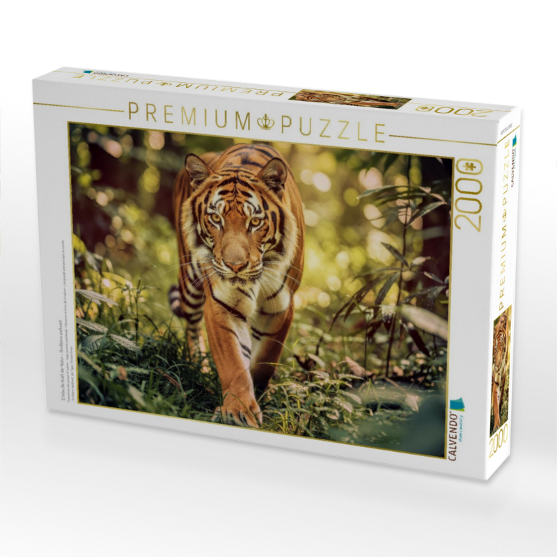 Erlebe die Kraft der Natur – Großtiere weltweit.