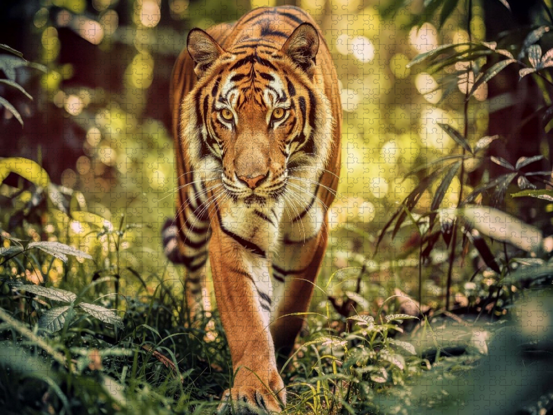 Erlebe die Kraft der Natur – Großtiere weltweit.