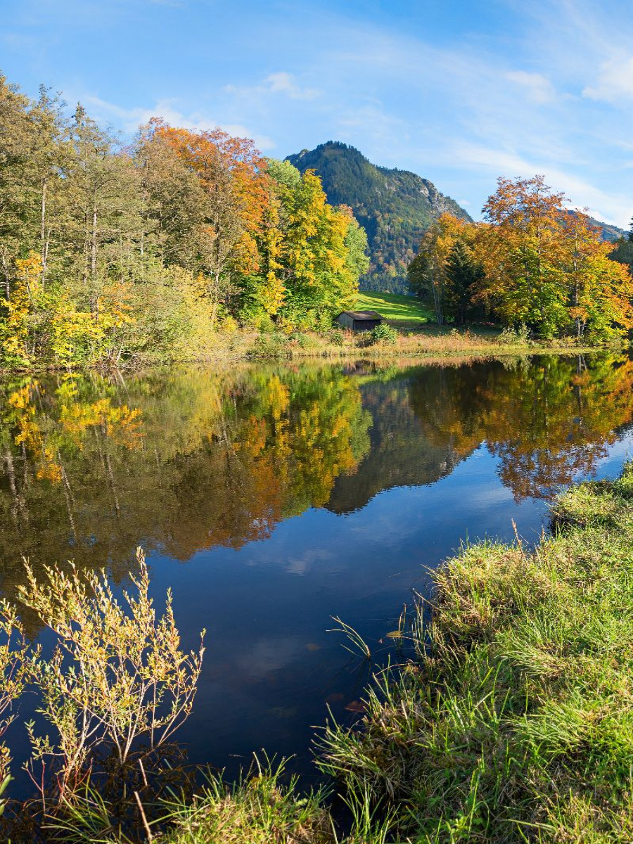 Moorweiher Oberstdorf