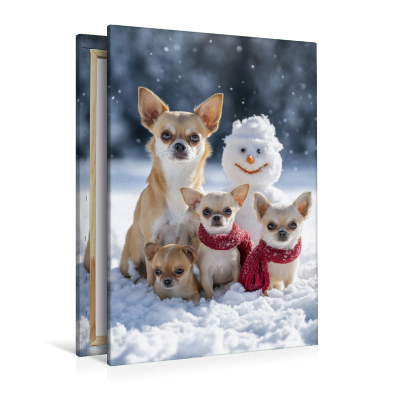 Wenn Glück durch den Schnee flitzt