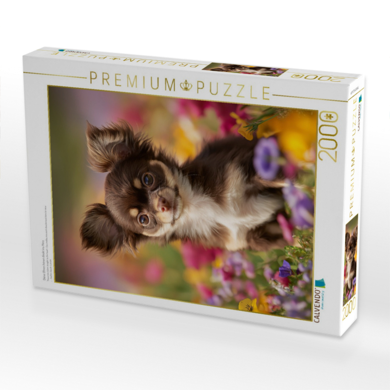 Diese Ohren hören direkt ins Herz