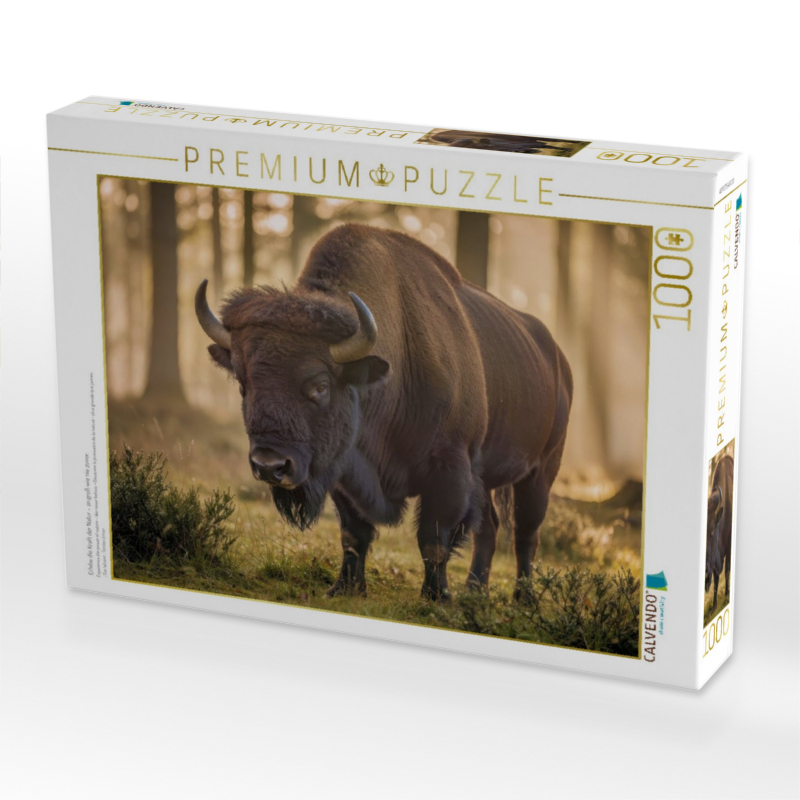 Erlebe die Kraft der Natur – so groß wie nie zuvor.