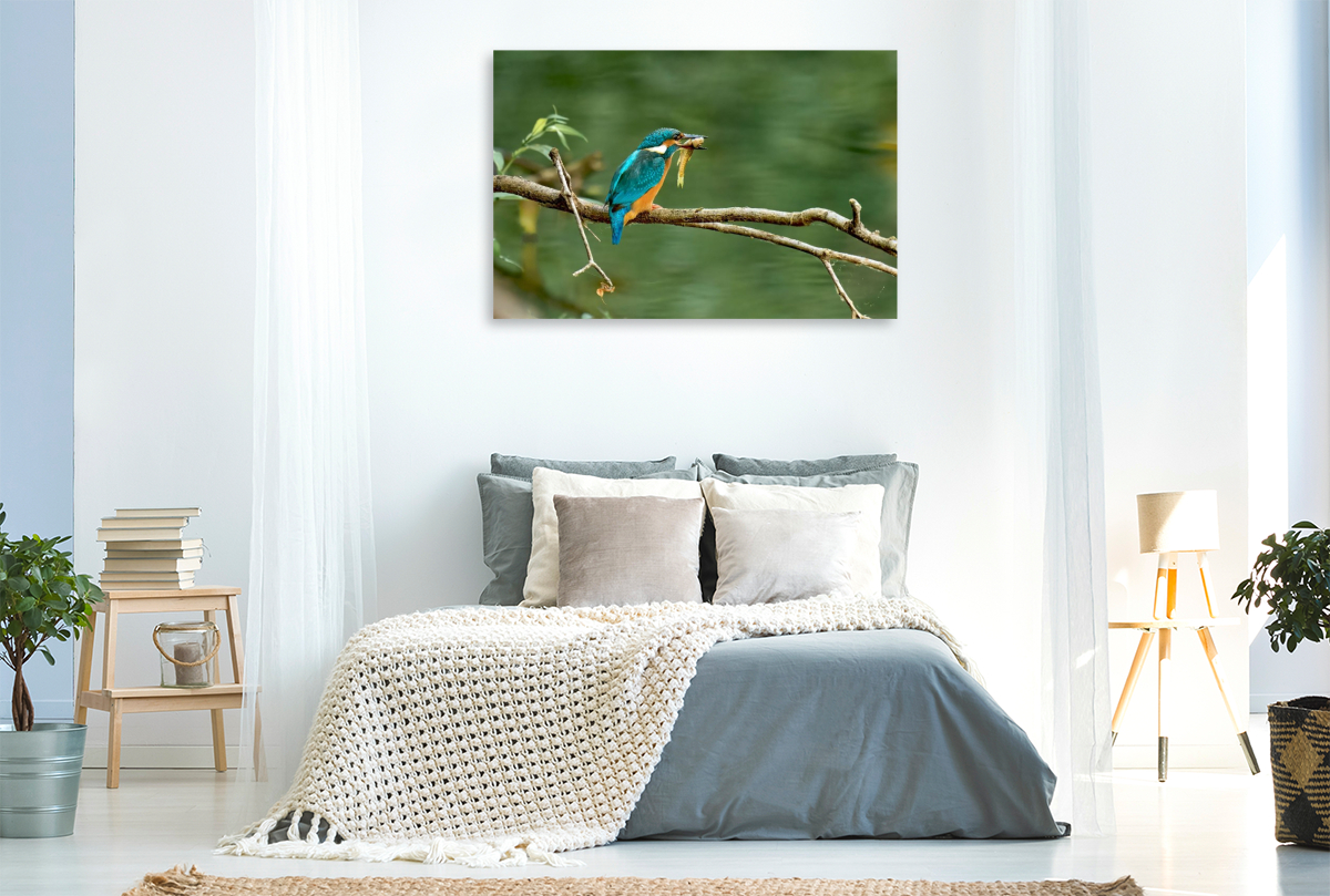 Mitteleuropäischer Eisvogel an der Ahr