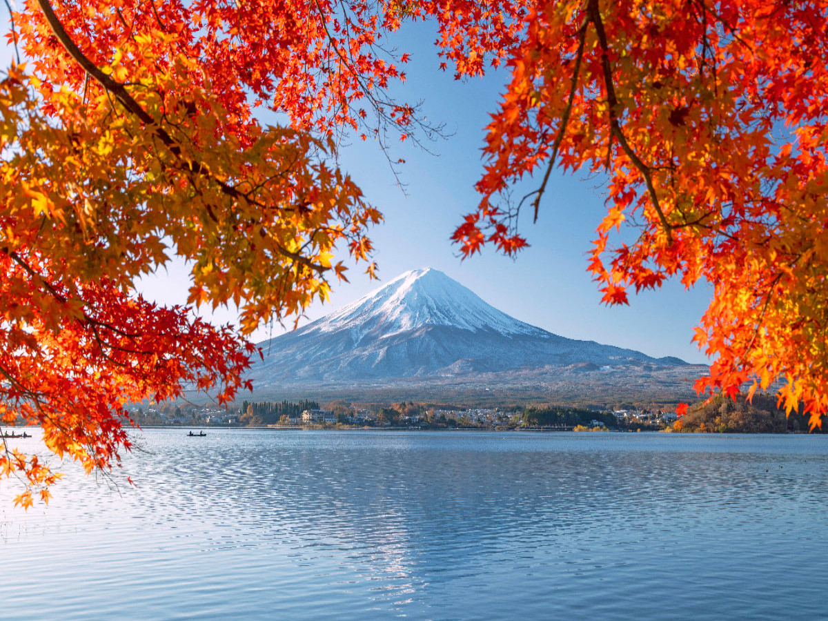 Der Fuji eingerahmt von herbstlich farbenfrohen Blättern