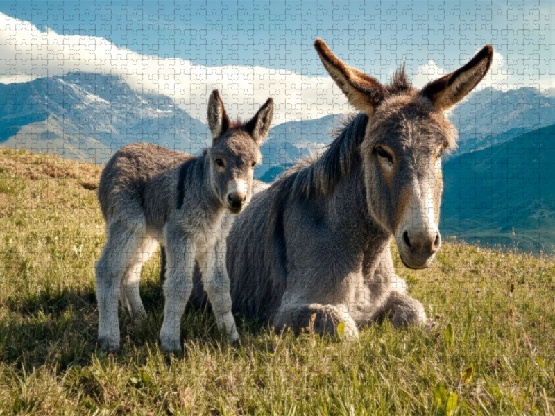 Wir genießen diesen Frühlingstag gemeinsam
