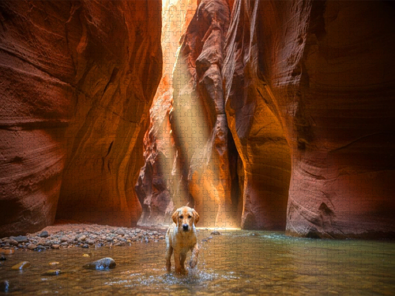 Nasse Pfoten im Antelope Canyon