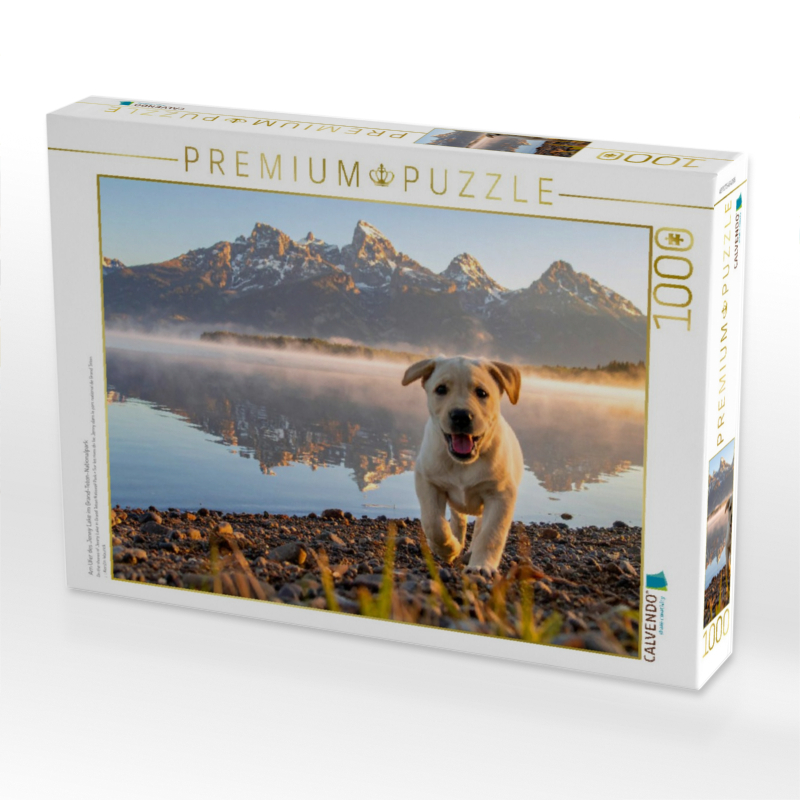 Am Ufer des Jenny Lake im Grand-Teton-Nationalpark