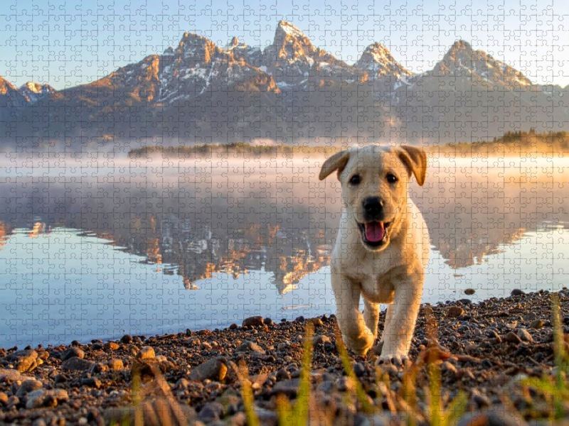 Am Ufer des Jenny Lake im Grand-Teton-Nationalpark