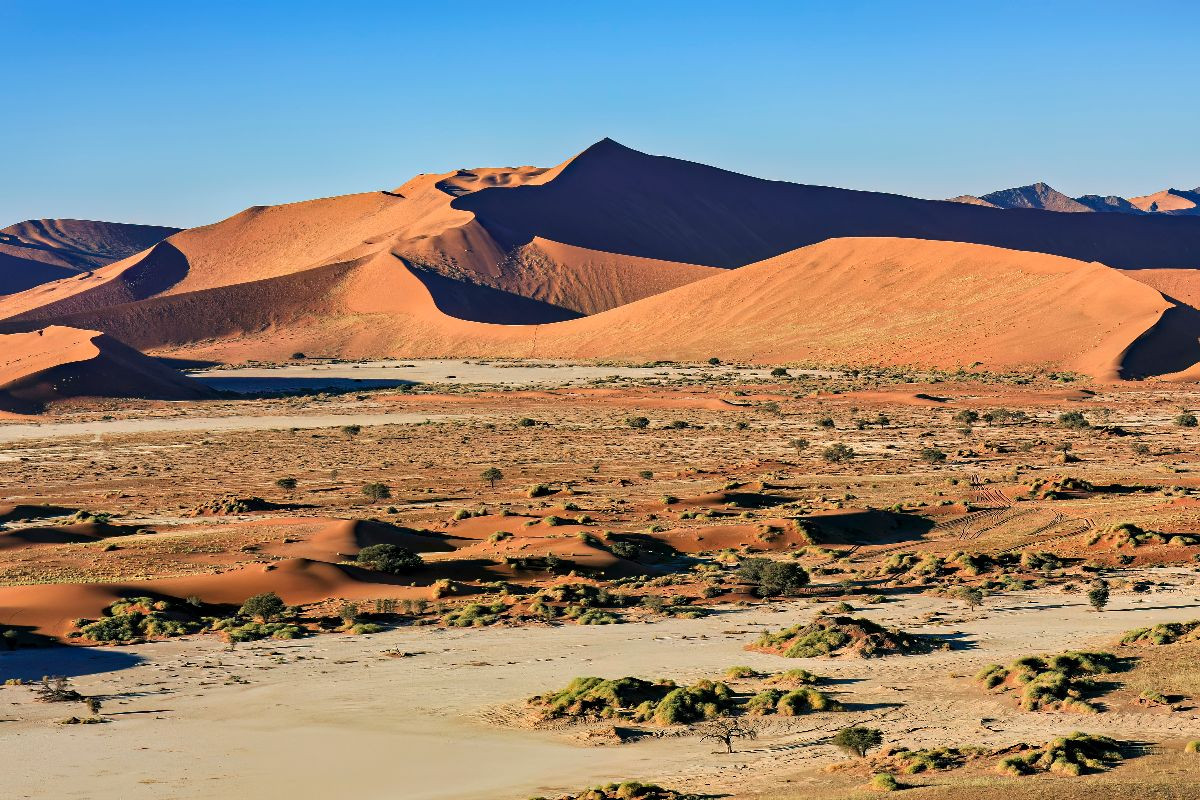 Dünen der Namib