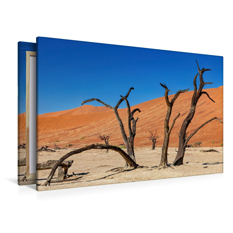 Tote Bäume im Deadvlei
